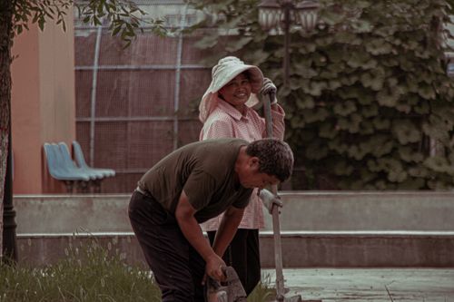 Free A smiling couple enjoys gardening together in a lush outdoor setting. Stock Photo