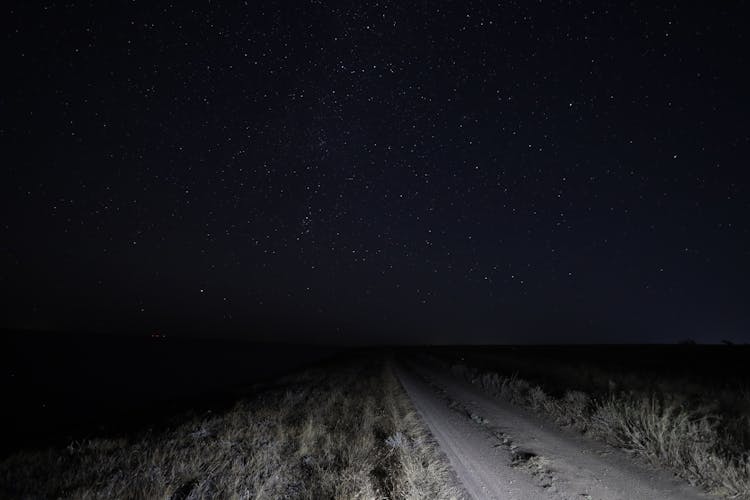 A Dirt Road Under The Starry Night Sky 