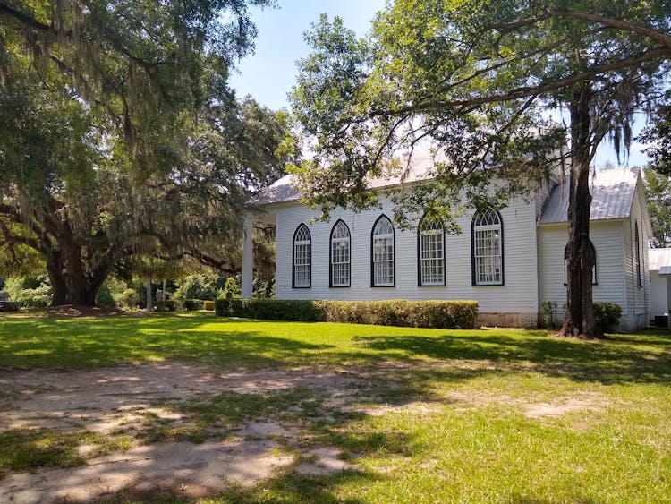 House With Windows And Garden And Trees