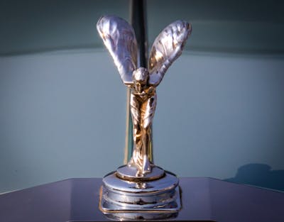 Amazon 45 mm Dekoratif Bahçe / Peyzaj Çimi