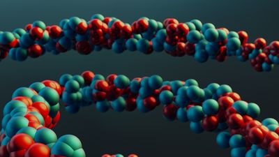 Molecular model photo by Steve A Johnson on Pexels
