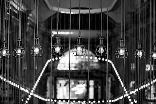Black and White Photograph of Hanging Lights