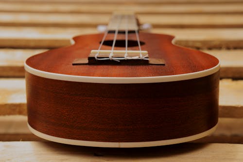 Close-Up Shot of a Ukulele 