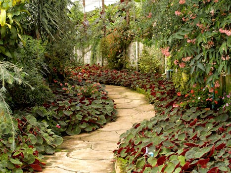Free stock photo of landscape, shrub, garden, path