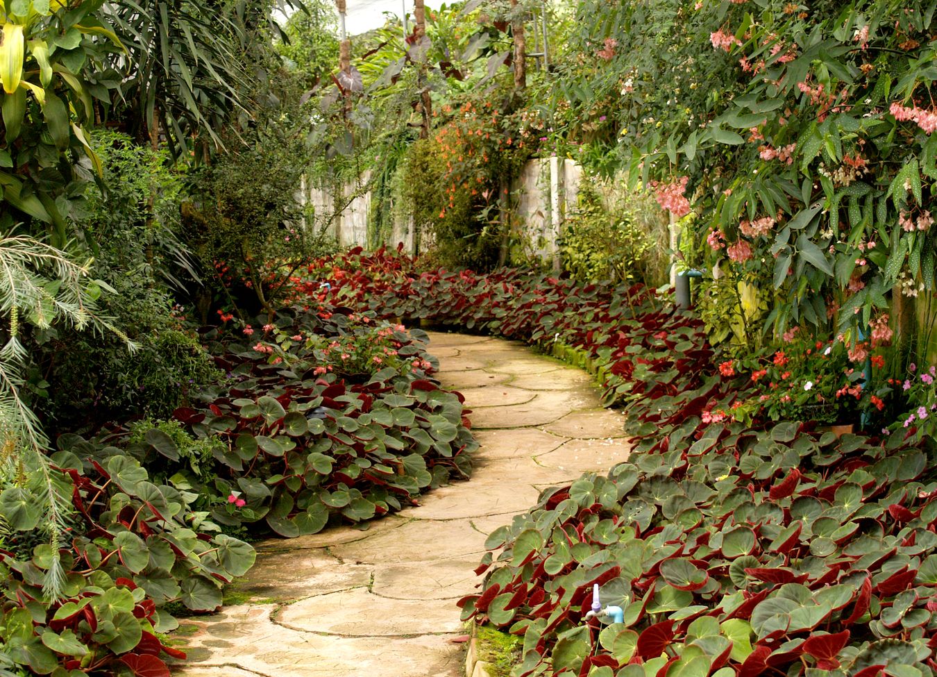 <span>Landscape design and construction</span>