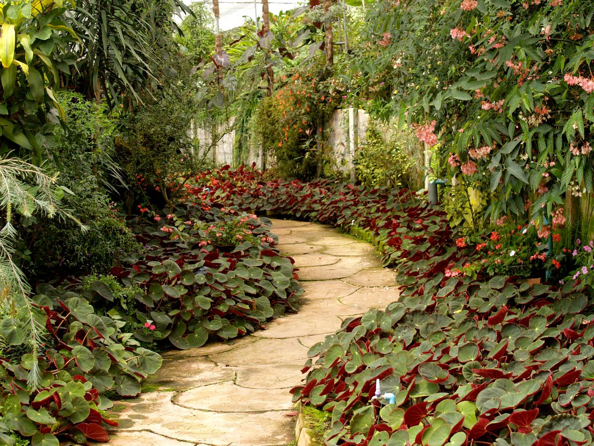 The Landscape Co. link preview image