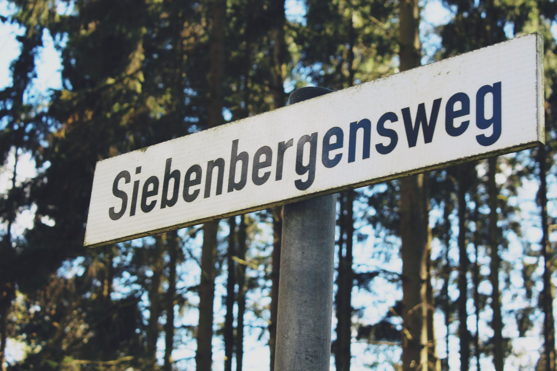 Street sign 'Siebenbergsweg' amidst tall trees in Bremerhaven forest, Germany.
