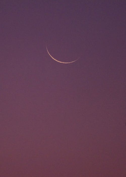 Crescent Moon in Purple Sky