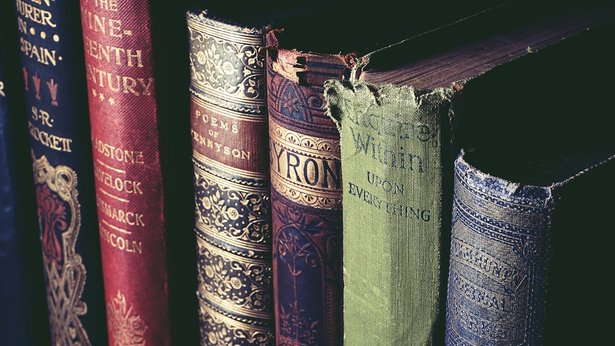 Photo of old book spines in a row.