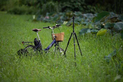 A Bike and a Tripod on the Grass 
