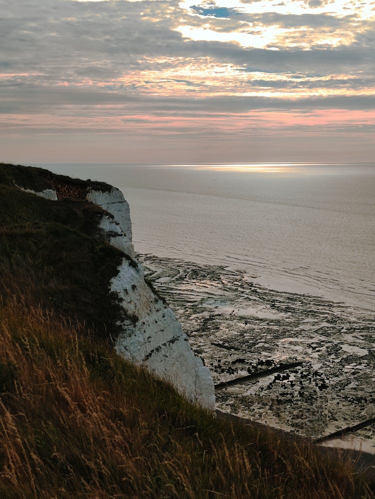 Grass On Cliff