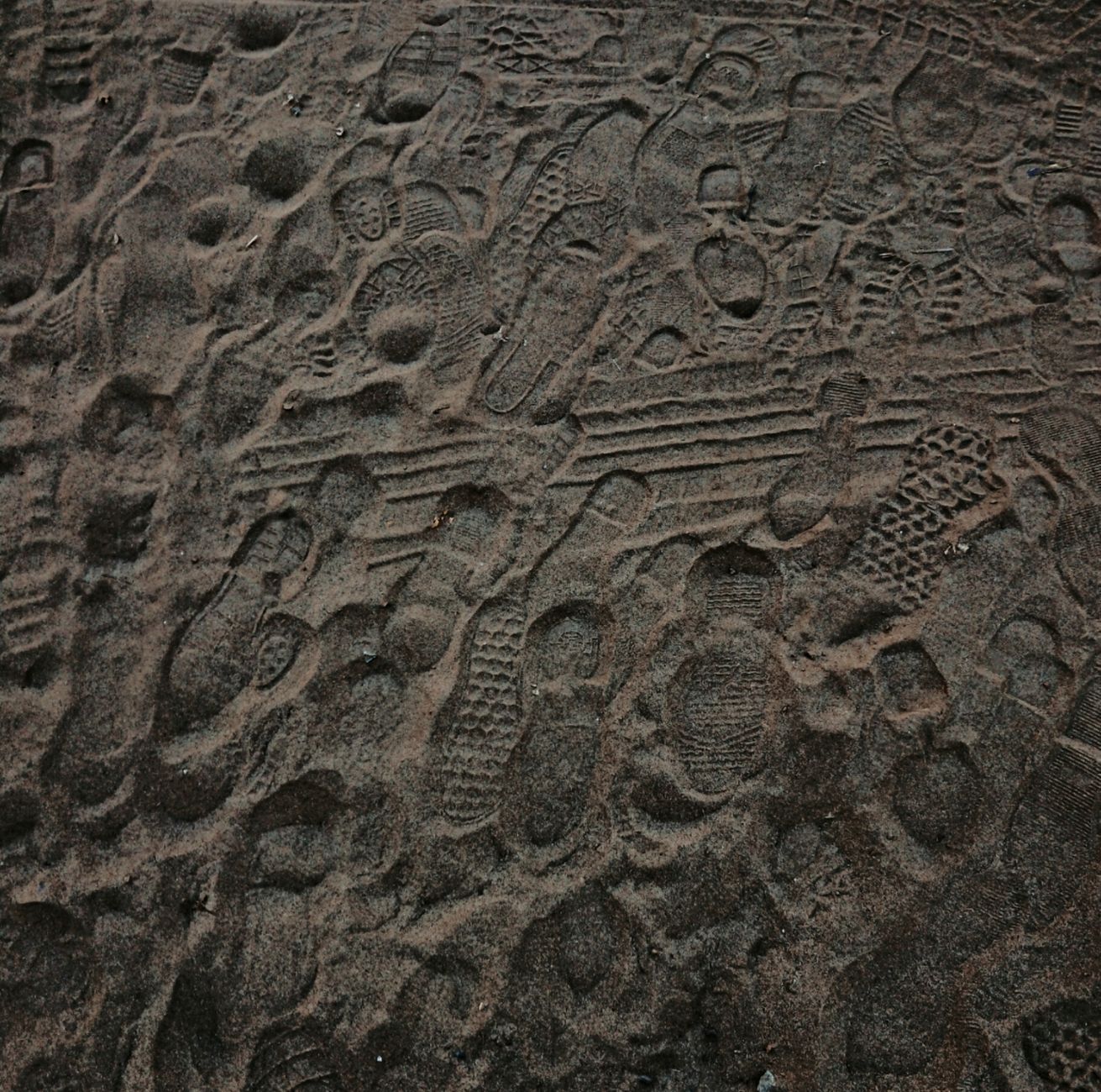 Close-up view of multiple footprints imprinted on sand at a beach, showing diverse textures.