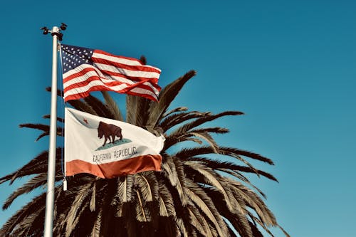 Fotobanka s bezplatnými fotkami na tému americká vlajka, hviezdy a pruhy, Kalifornia