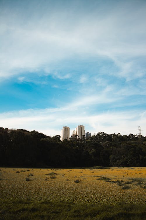 City Buildings Under the Blue Sky