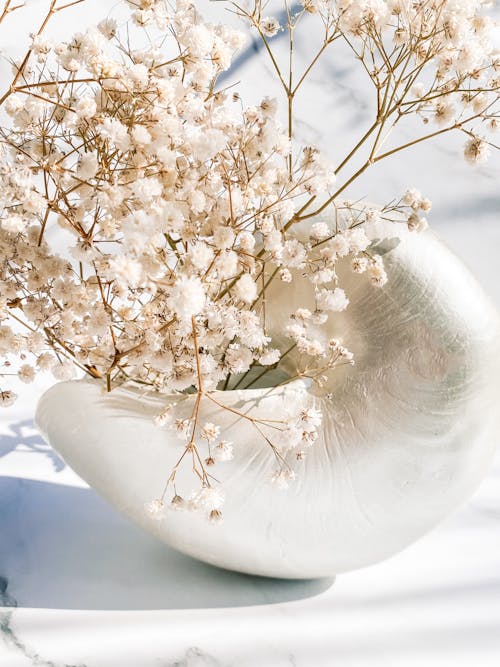 White Flowers in White Ceramic Vase