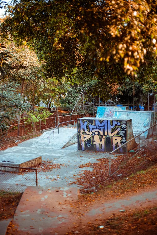 Trees Near the Skate Park