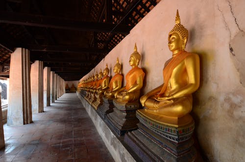 Foto d'estoc gratuïta de Buda, escultures, estàtues