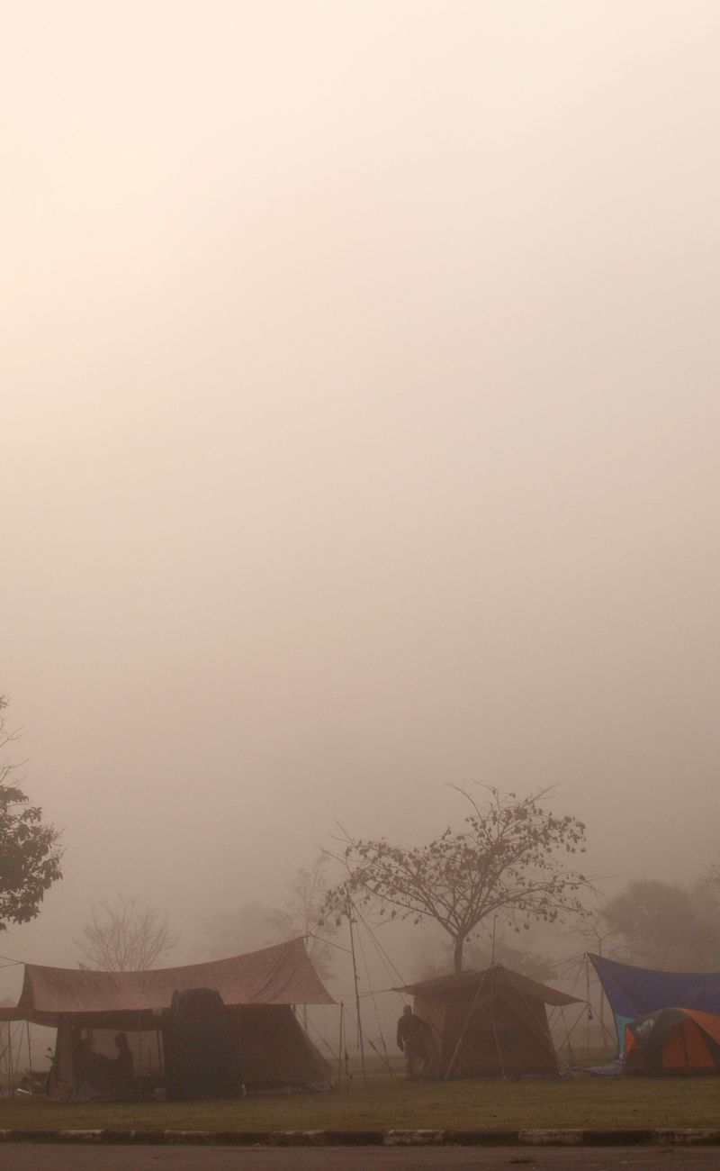 Nature Meditation for Focus: The Complete 2026 Protocol