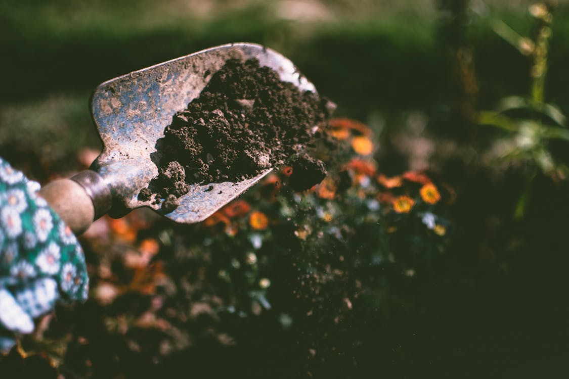 Persoon Graven Op De Bodem Met Behulp Van Tuinschop