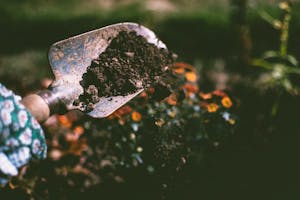 Kit de Plantas Aromáticas