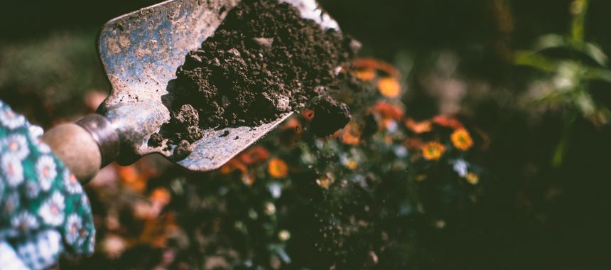 Rich finished compost dark soil