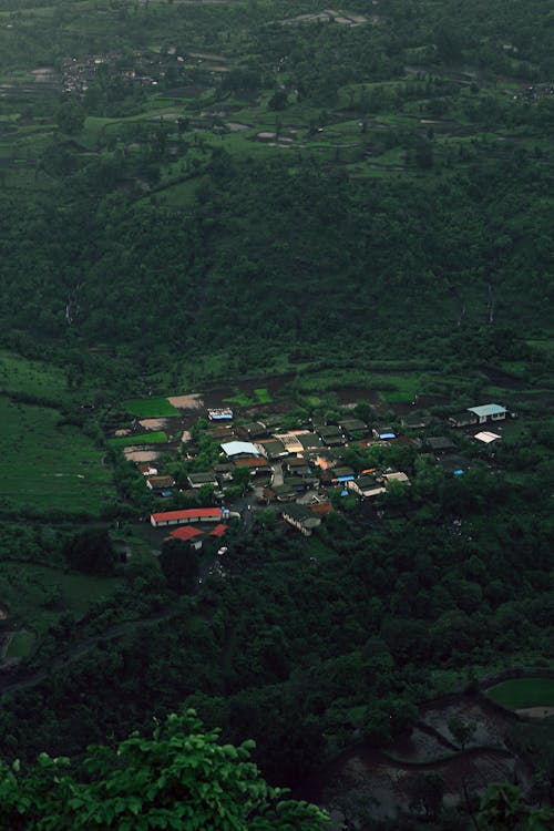 Aerial View of a Village