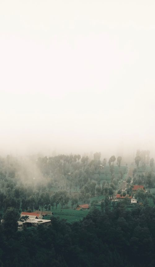 Free A tranquil, aerial view of a mist-covered village surrounded by lush greenery and trees. Stock Photo