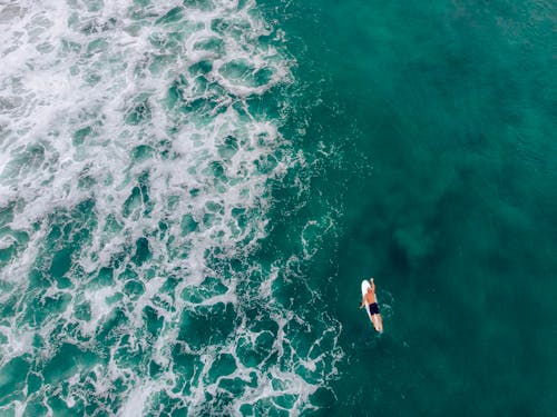 Foto d'estoc gratuïta de aigua, escuma, fent surf