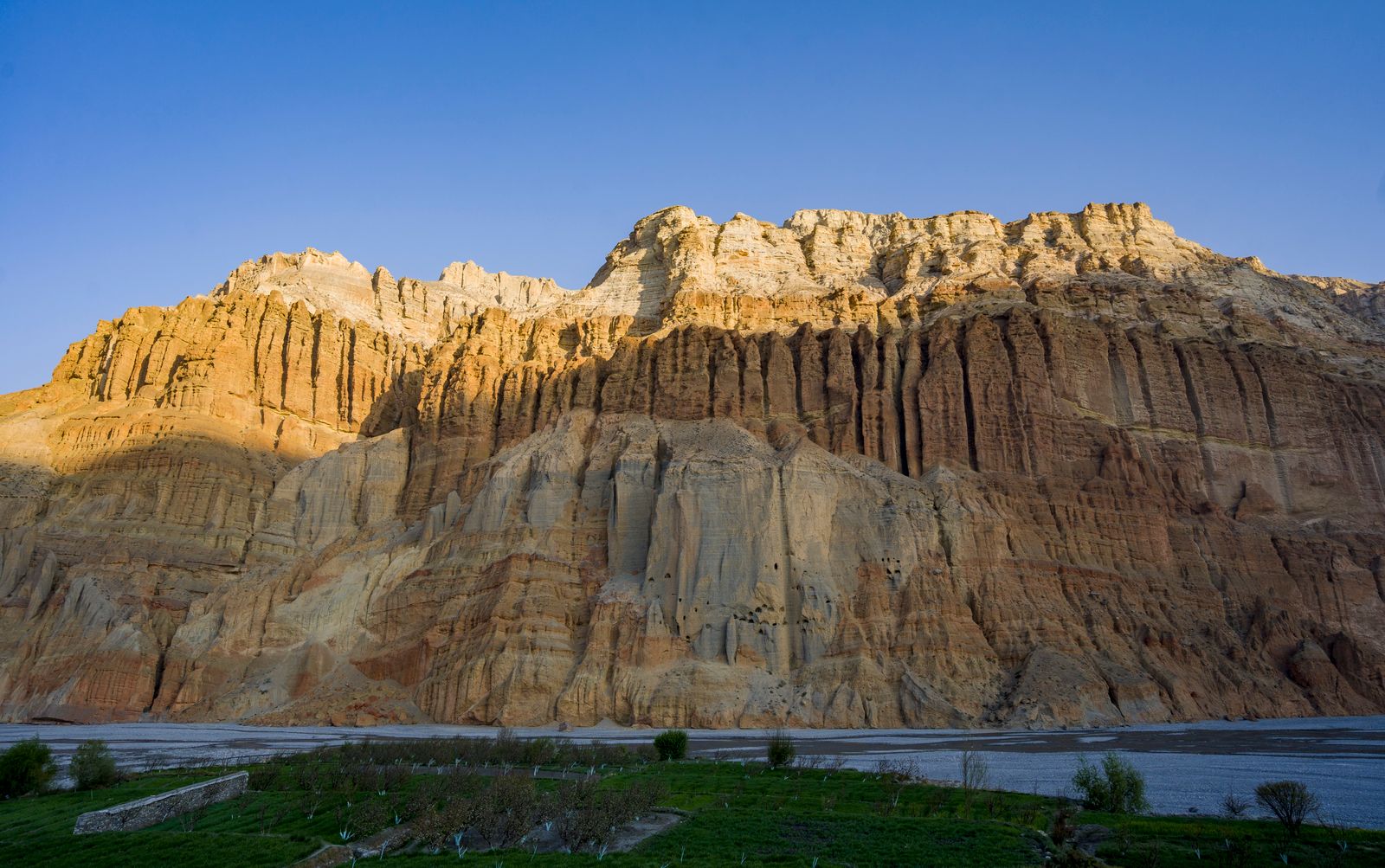 Lower Mustang Magic