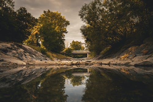 無料 ブリッジ, 反射, 小川の無料の写真素材 写真素材