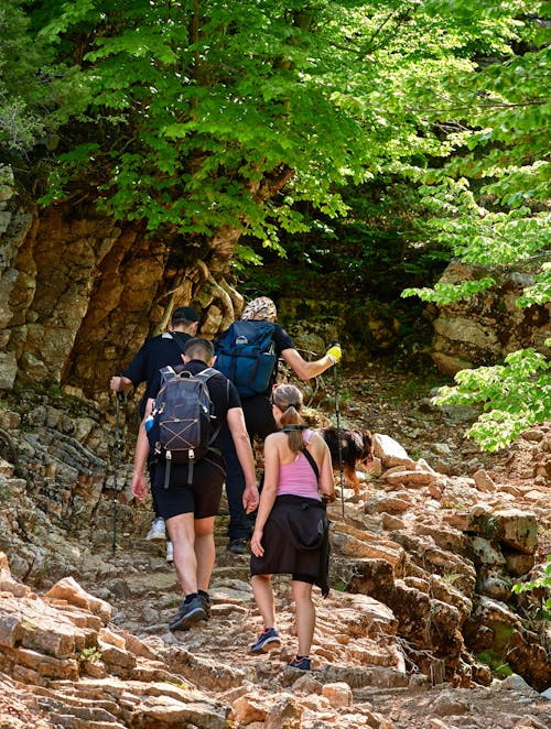 People Hiking Together in the Mountains