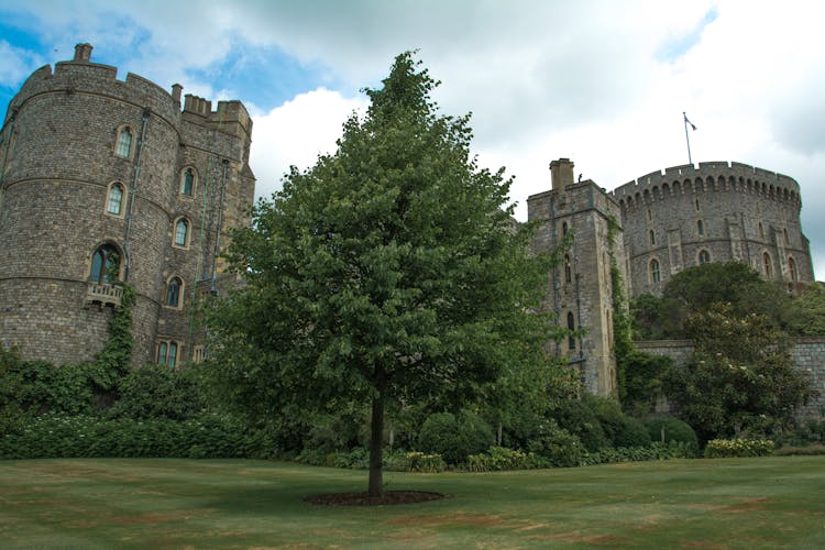 Green Tree Near Windsor Castle Under Cloudy Sky