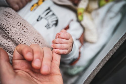 Free Baby Holding a Finger Stock Photo