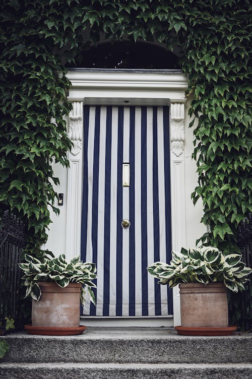 Gratis lagerfoto af blå dør, døråbning, eksteriør Lagerfoto