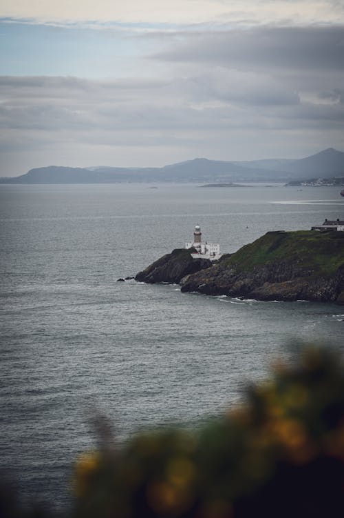 優美的風景, 北愛爾蘭, 垂直拍攝 的 免費圖庫相片
