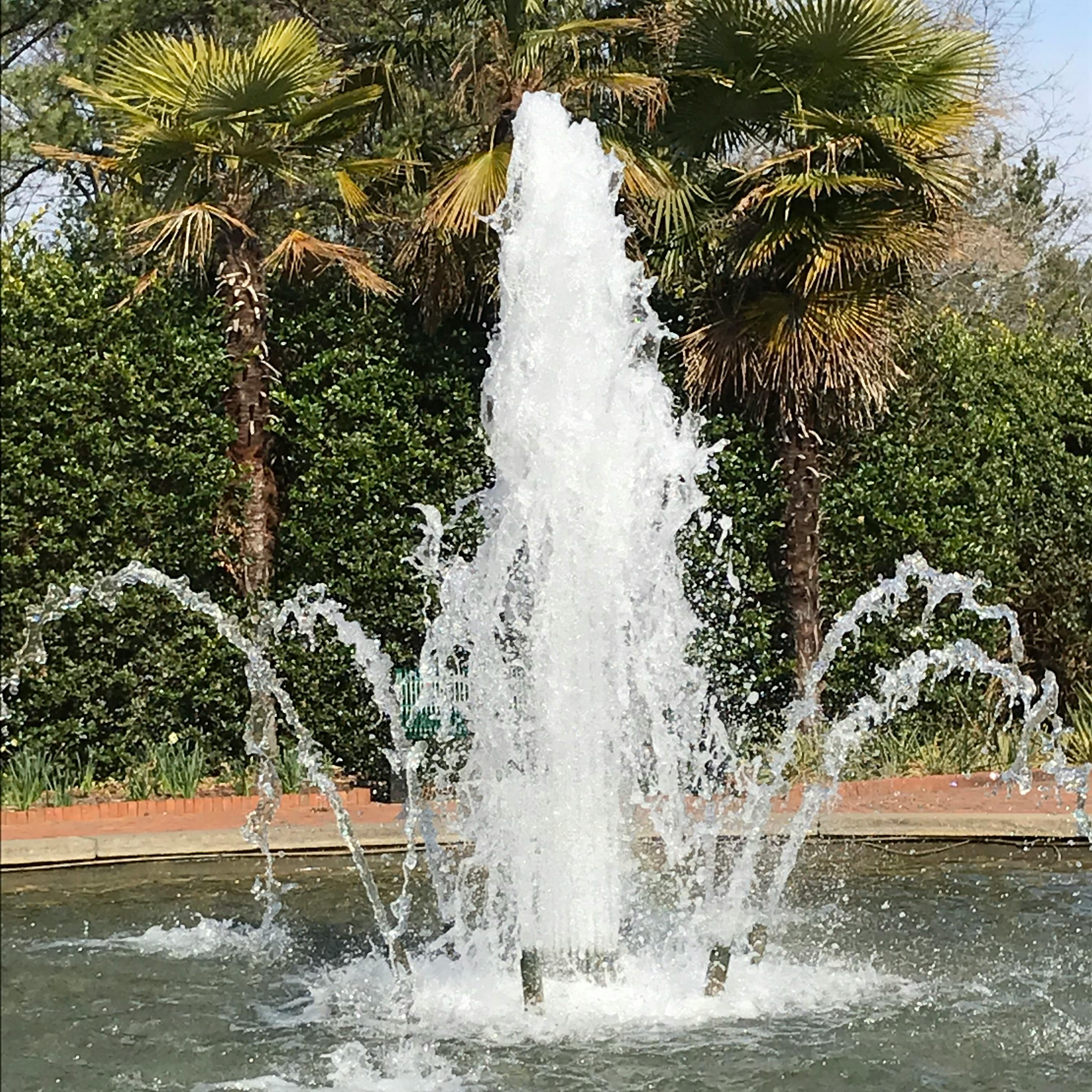 Free stock photo of fountain, garden, water