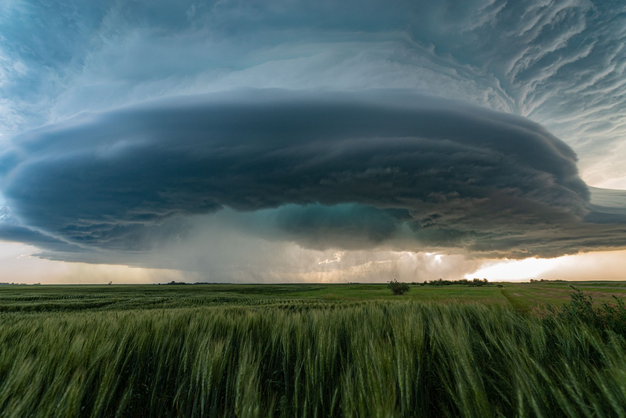 Tormenta severa de gran desarrollo vertical sobre una llanura, con cielo oscuro