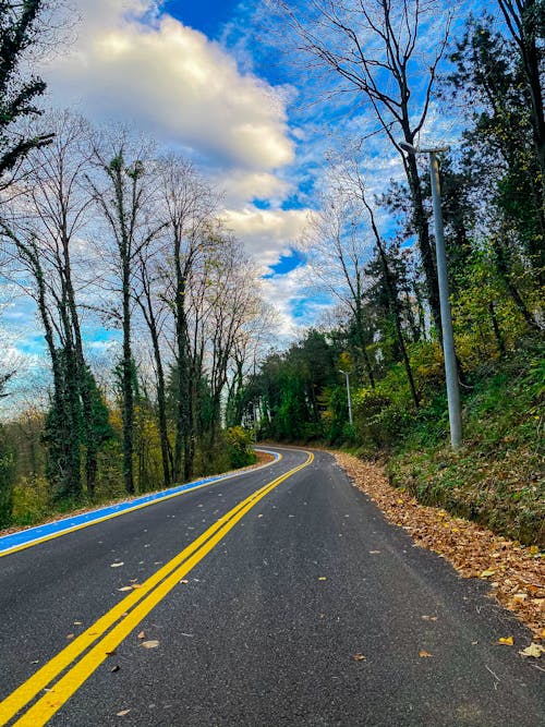 Kostnadsfri bild av asfaltväg, blå himmel, landsbygden