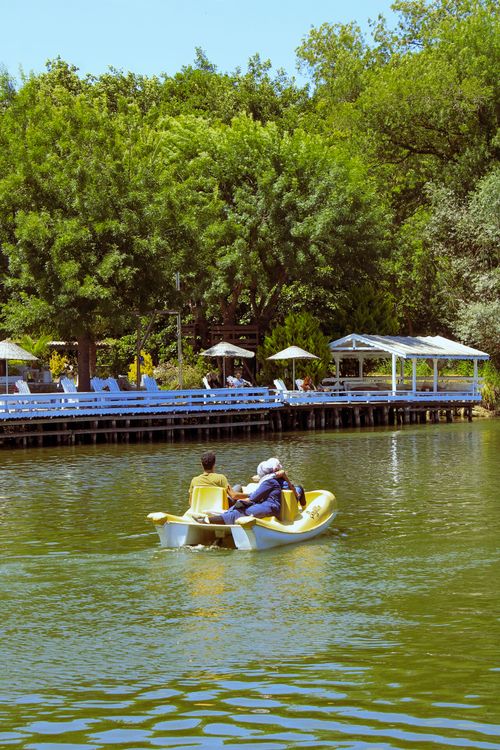 Free People enjoying a tranquil pedal boat ride on a lush riverside in İstanbul, Türkiye. Stock Photo