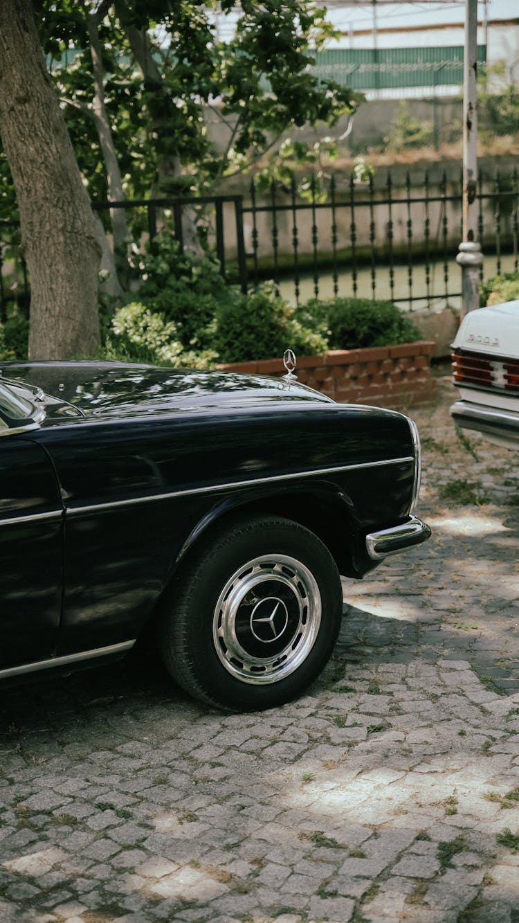 Black Car Parked Near Tree