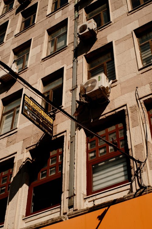 Free A bird flying near an urban building exterior with air conditioning units. Stock Photo