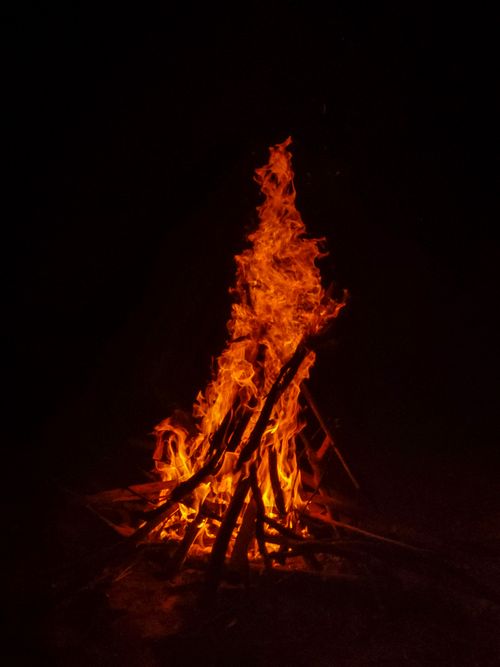 Free Tall flames of a bonfire blaze brightly in the dark, casting warm light outdoors. Stock Photo