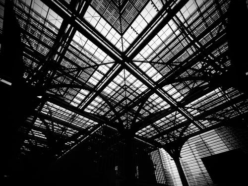 Grayscale Photo of Metal Frame Roof