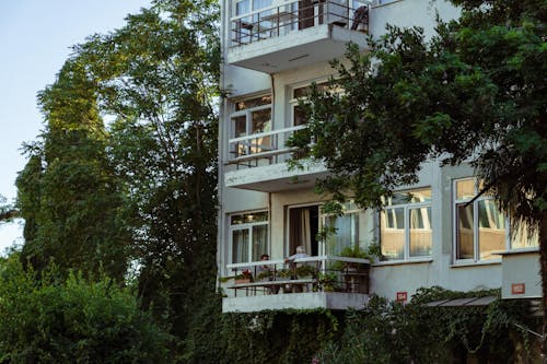 Green Trees Beside White Concrete Building