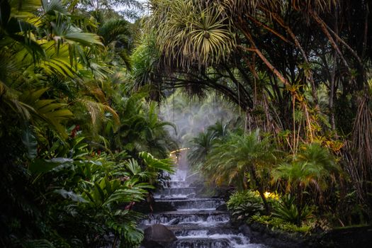 Waterfall on Steps and Palms in a Jungle