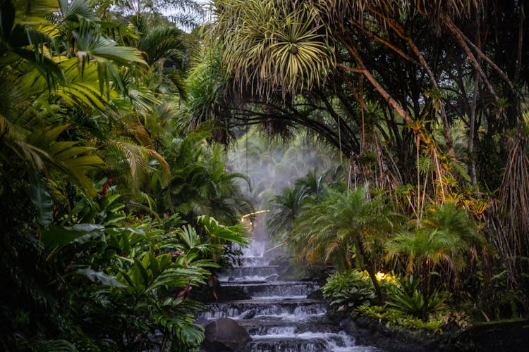 Waterfall On Steps And Palms In A Jungle