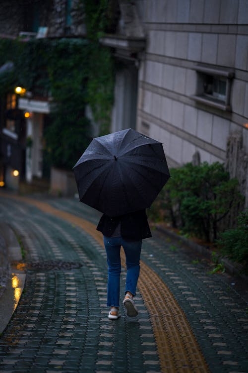 Imagine de stoc gratuită din fotografiere verticală, mers pe jos, negru umbrelă