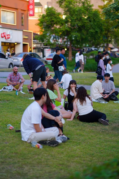 People Sitting on Green Grass Field