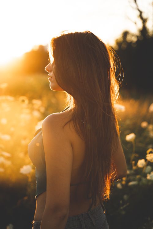 Free A side view portrait of a woman during golden hour in a sunlit field with sunflowers. Stock Photo