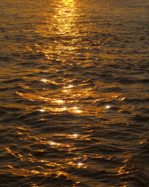 Free Sunset over the sea in İstanbul, capturing serene golden reflections on the water surface. Stock Photo